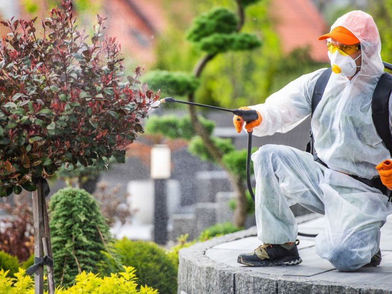 Akkışla Haşere İlaçlama